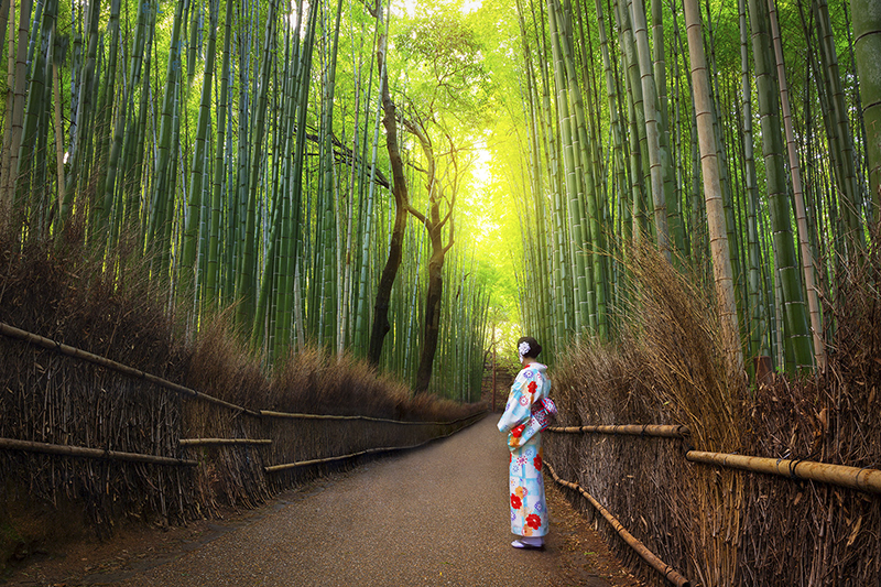  VẺ ĐẸP CỐ ĐÔ CỔ KÍNH KYOTO - NHẬT BẢN