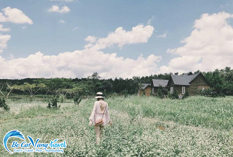 Dalat Milk