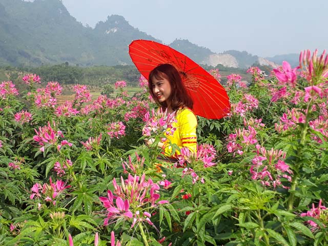 Cùng tour du lịch giá rẻ phan thiết tìm hiểu về đặc sản khi đến tây bắc trong năm 2022 