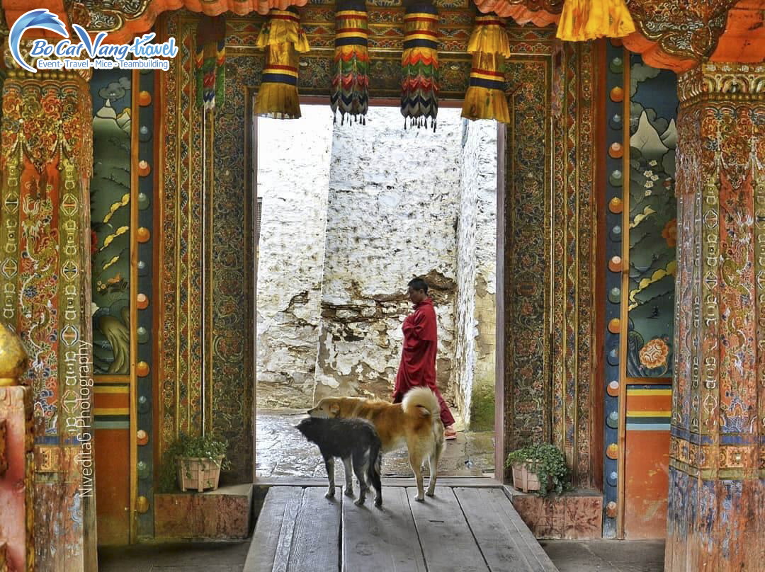 TU VIỆN TANGO