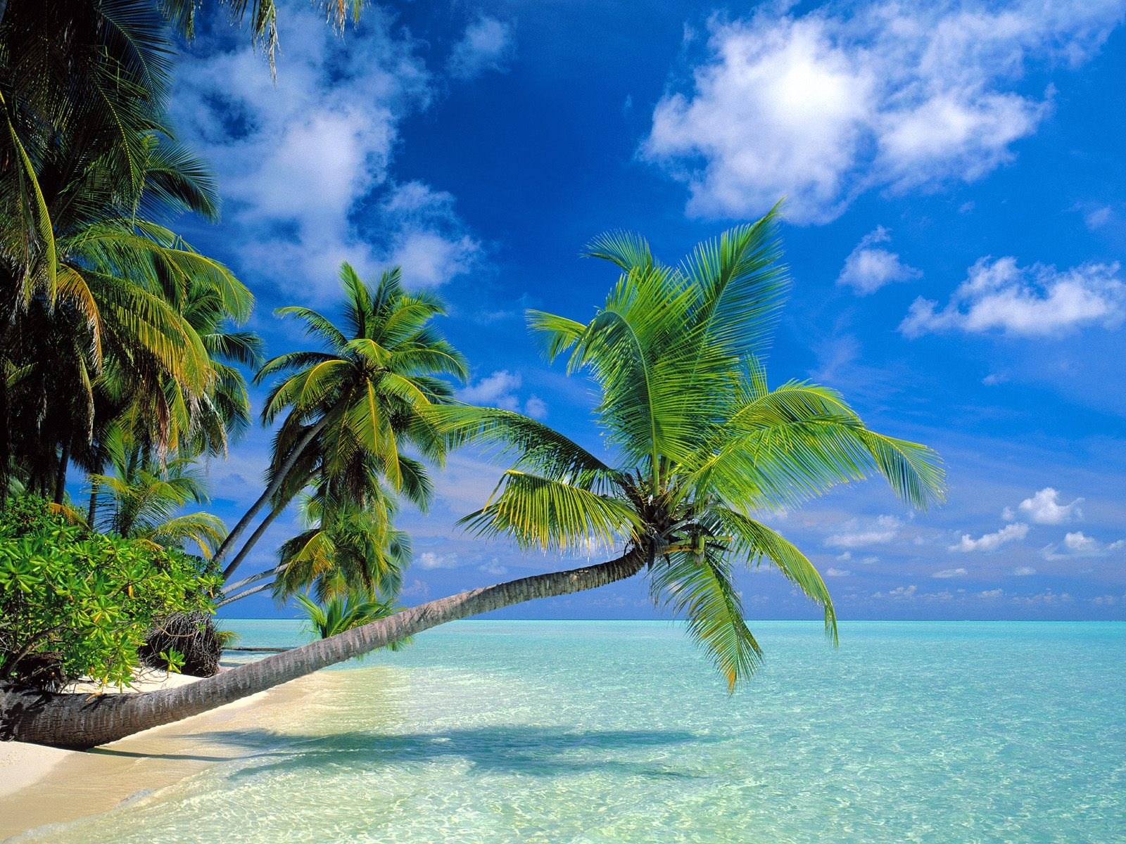 Du Lịch Phan Thiết Mũi Né 1 ngày