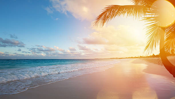 Du lịch Phan Thiết 2025| Nha Trang - Du Ngoạn 4 Đảo - Vinwondes từ Sài Gòn