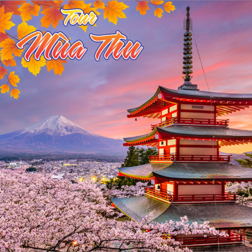 NHẬT BẢN - NARITA – TOKYO – PHÚ SỸ – ODAIBA 