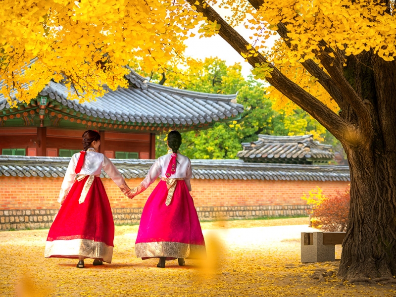 Hàn Quốc: Seoul | Nami | Everland (4N4Đ)