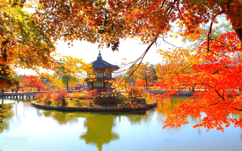 Seoul - Nami - Everland